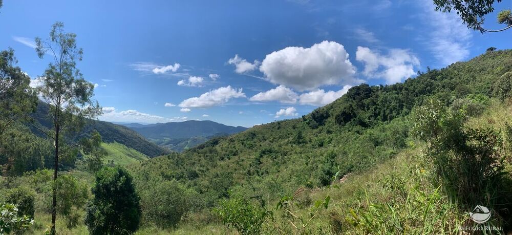 Sítio à venda com 1 quarto, 250000m² - Foto 2