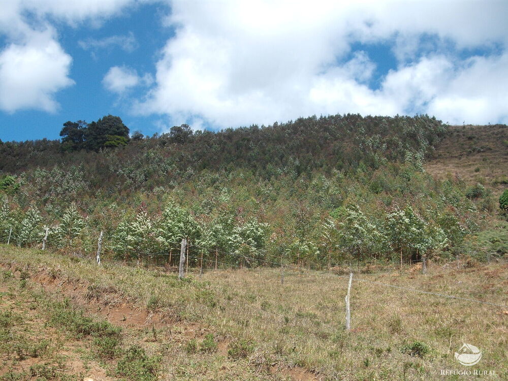 Sítio à venda com 1 quarto, 250000m² - Foto 8