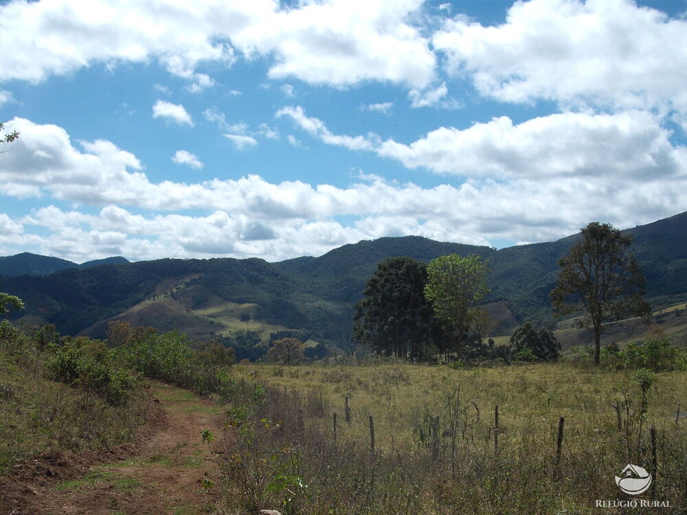 Sítio à venda com 1 quarto, 250000m² - Foto 6