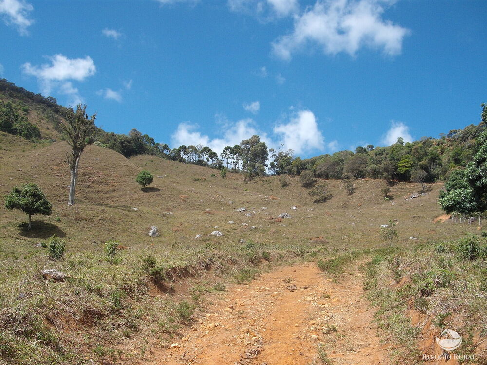 Sítio à venda com 1 quarto, 250000m² - Foto 12