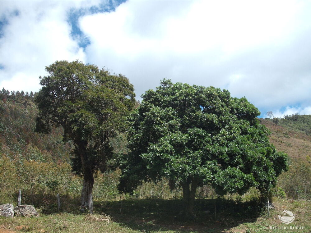 Sítio à venda com 1 quarto, 250000m² - Foto 14