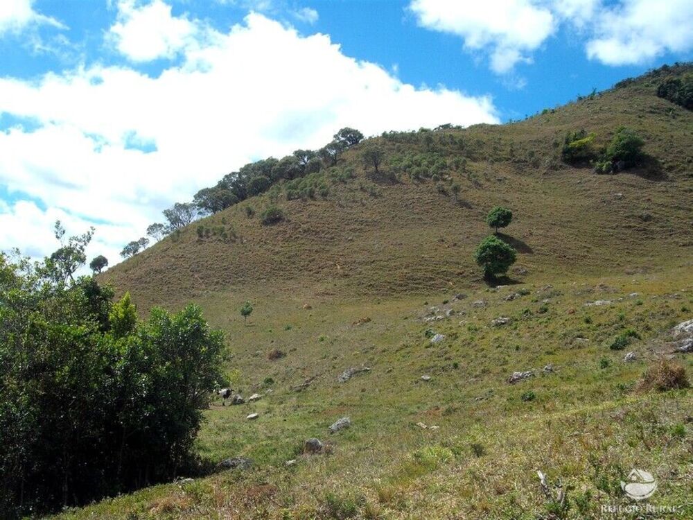 Sítio à venda com 1 quarto, 250000m² - Foto 11
