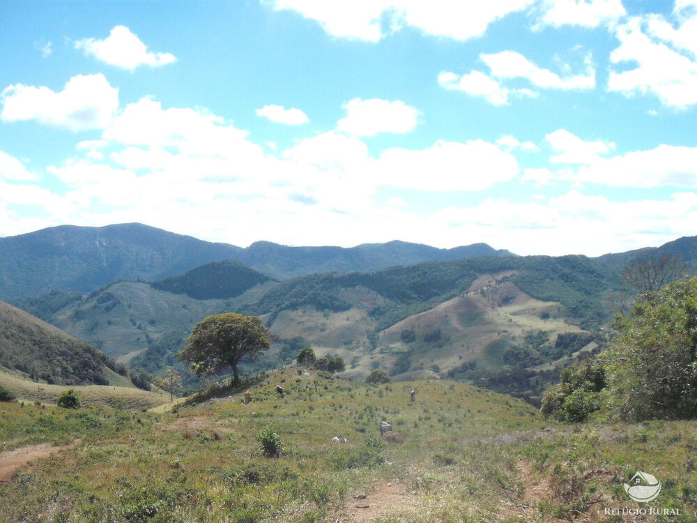 Sítio à venda com 1 quarto, 250000m² - Foto 16