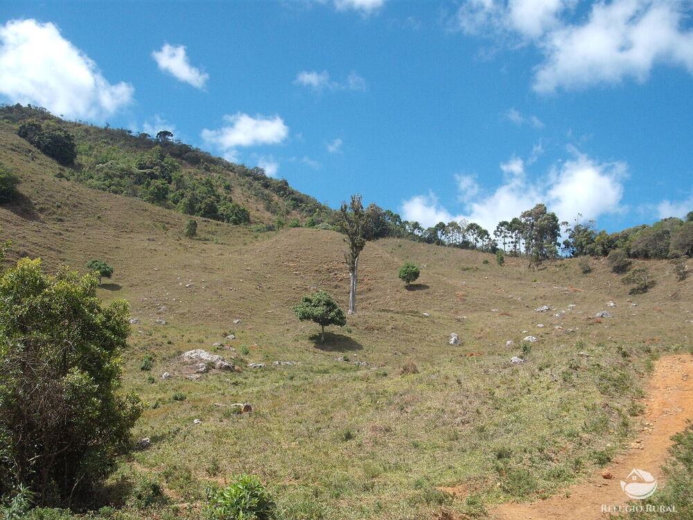 Sítio à venda com 1 quarto, 250000m² - Foto 10