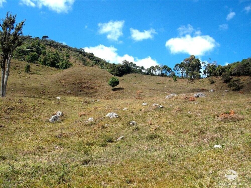 Sítio à venda com 1 quarto, 250000m² - Foto 3