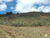 Sítio, 1 quarto, 25 hectares - Foto 8