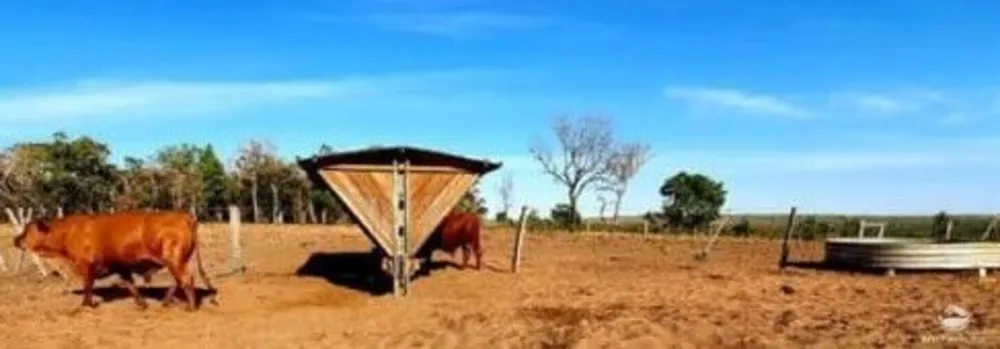 Fazenda, 3150 hectares - Foto 1