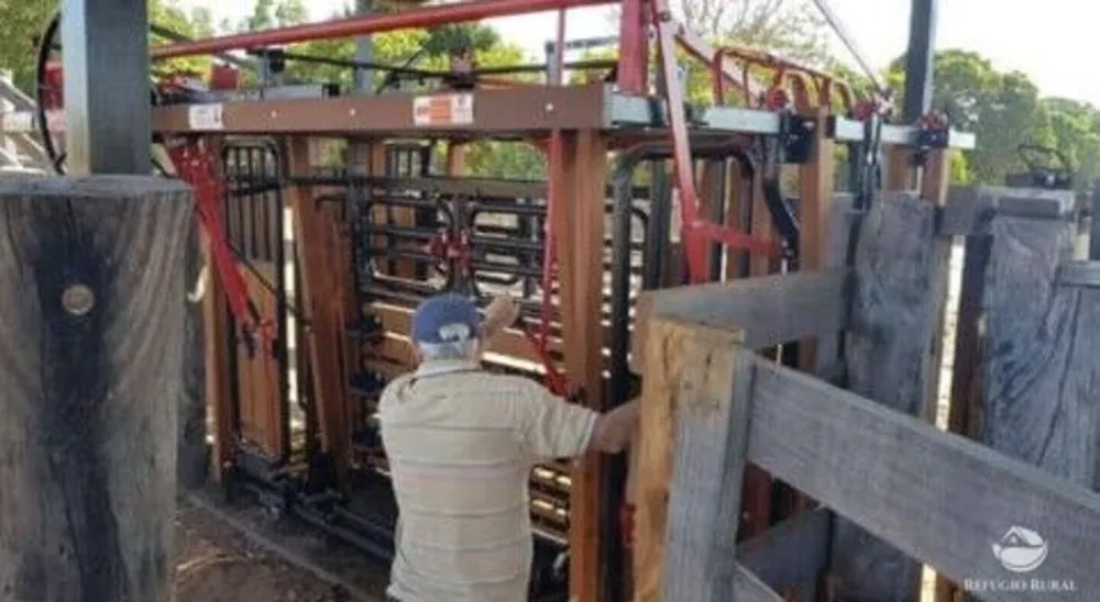 Fazenda, 3150 hectares - Foto 4