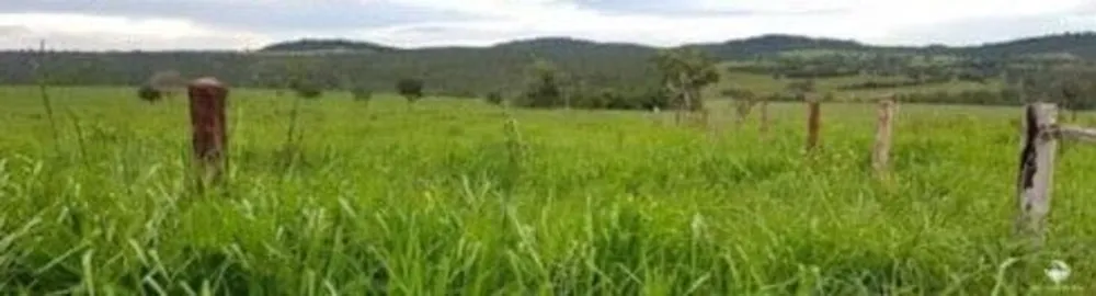 Fazenda, 3150 hectares - Foto 4