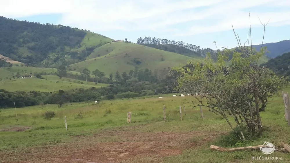 Fazenda, 121 hectares - Foto 9
