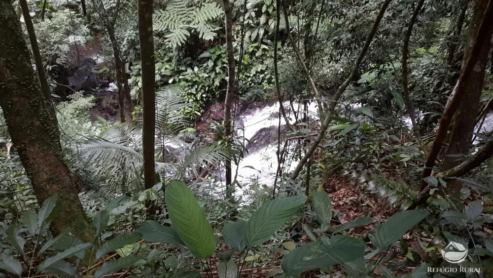 Fazenda, 121 hectares - Foto 14