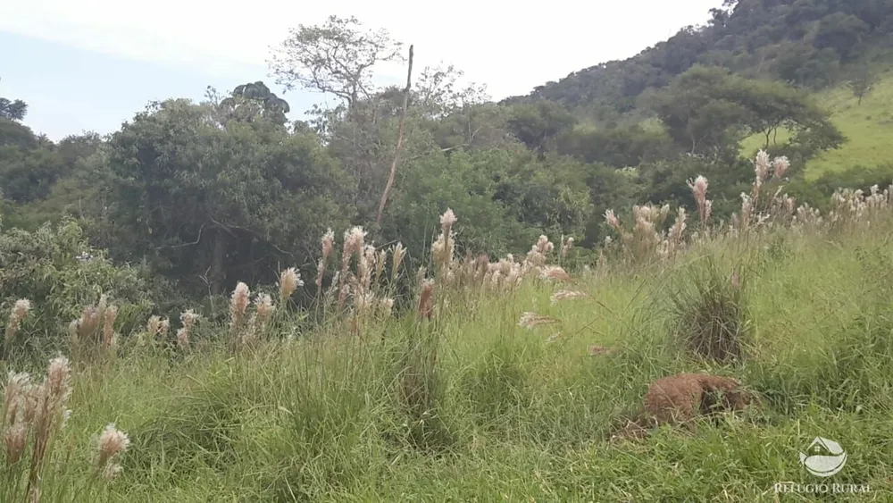 Fazenda, 121 hectares - Foto 7
