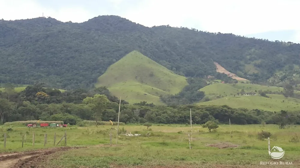 Fazenda, 121 hectares - Foto 15
