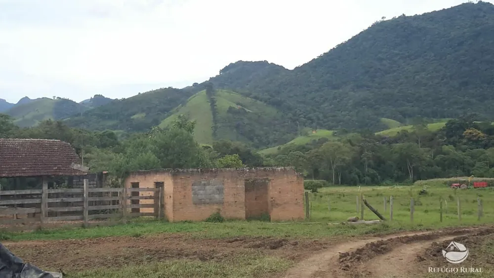 Fazenda, 121 hectares - Foto 10