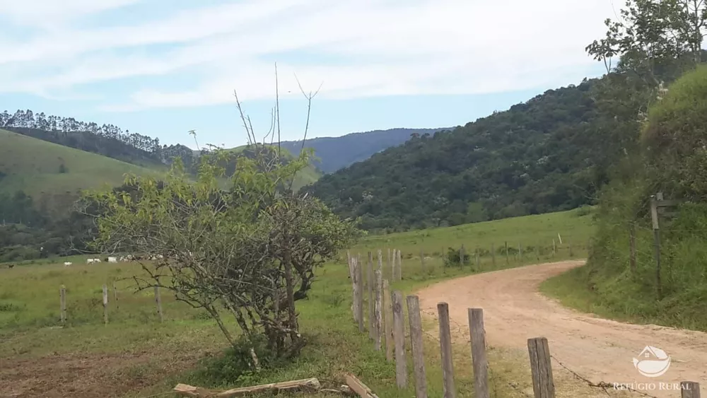 Fazenda, 121 hectares - Foto 4