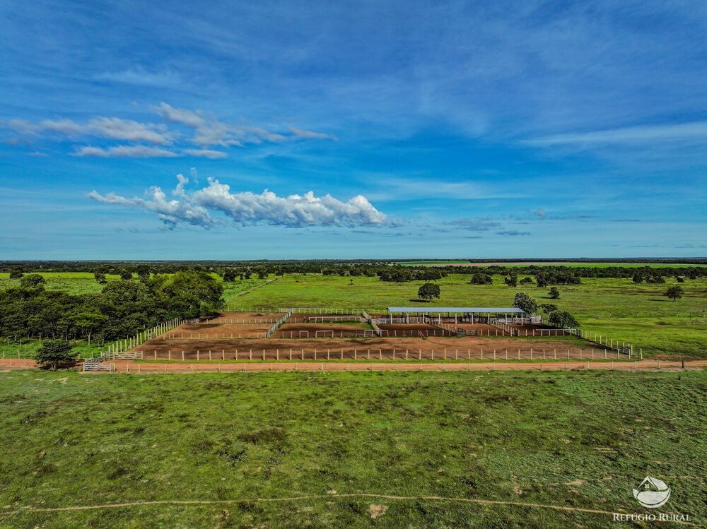 Fazenda, 8700 hectares - Foto 3