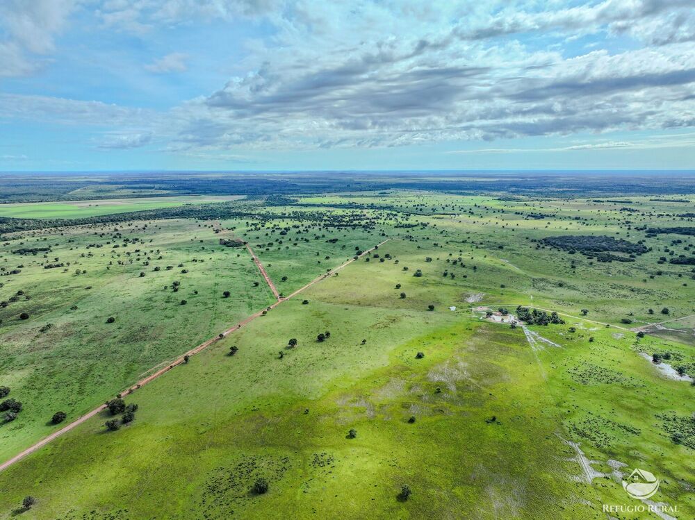 Fazenda, 8700 hectares - Foto 2