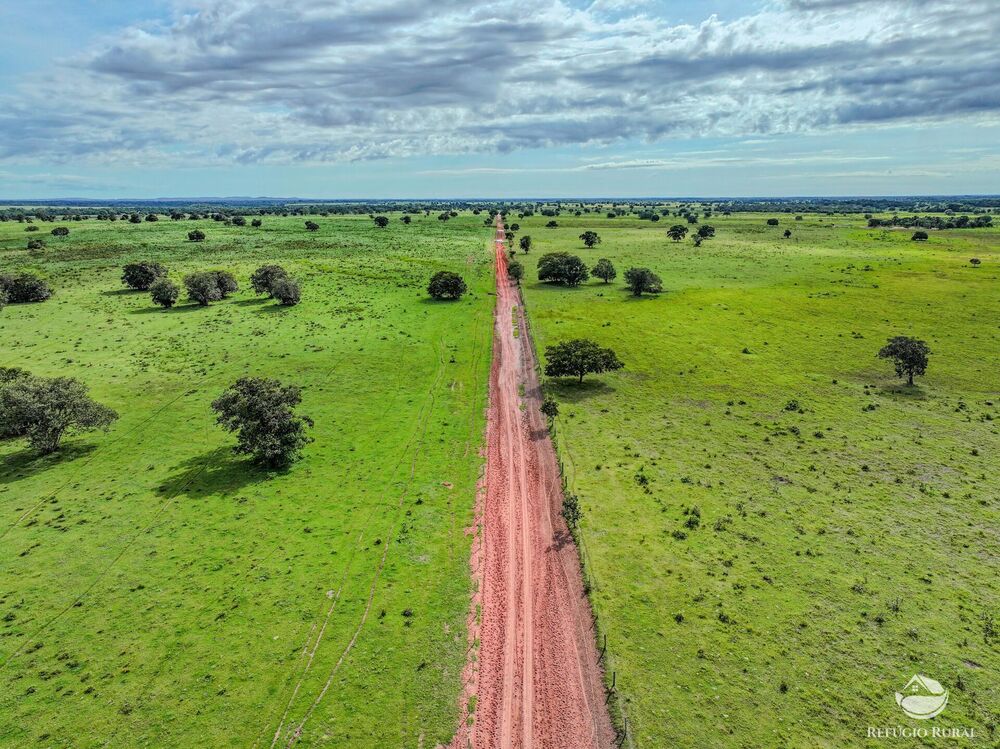 Fazenda, 8700 hectares - Foto 4
