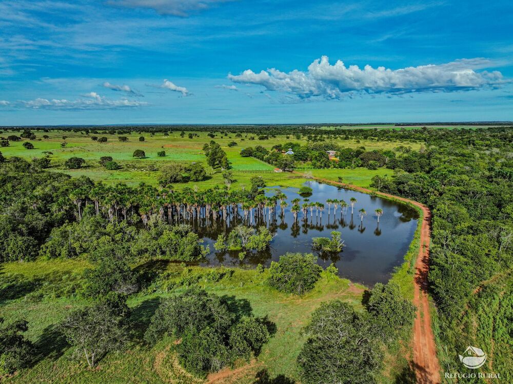 Fazenda, 8700 hectares - Foto 1