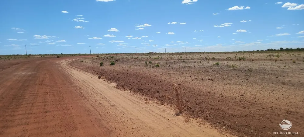 Fazenda, 1064 hectares - Foto 11