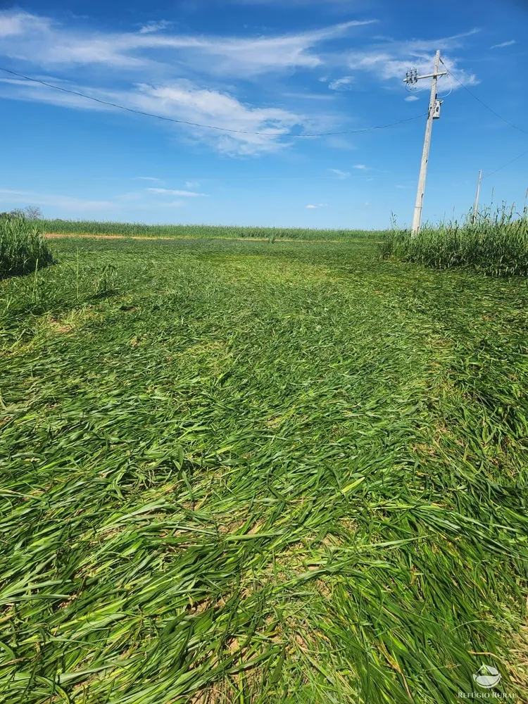 Fazenda, 1064 hectares - Foto 1