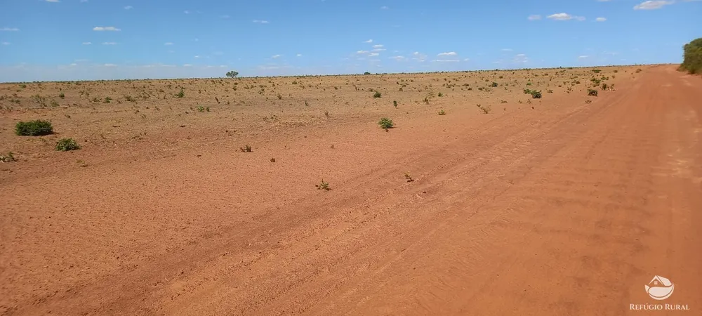 Fazenda, 1064 hectares - Foto 10