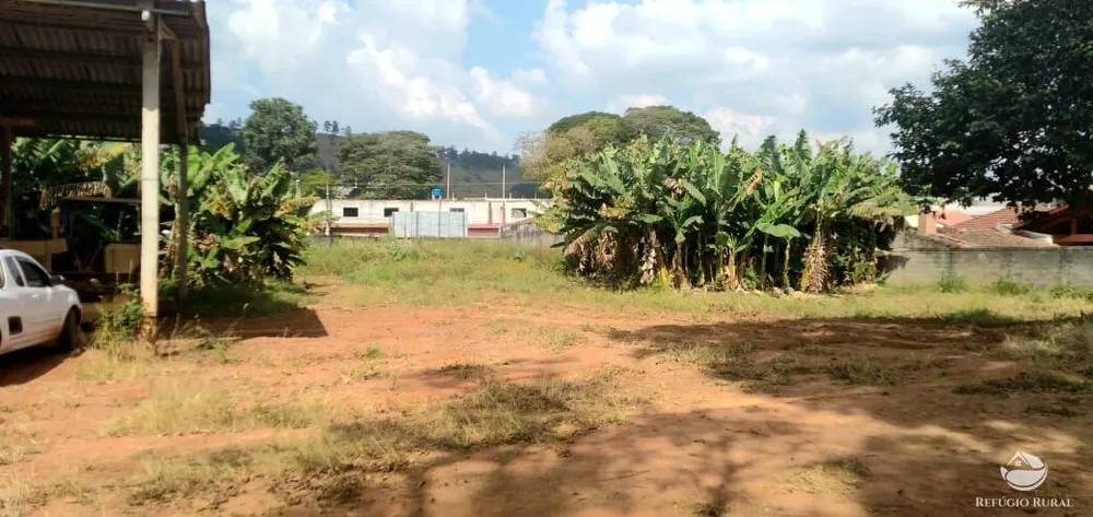 Terreno, 5000 m² - Foto 2