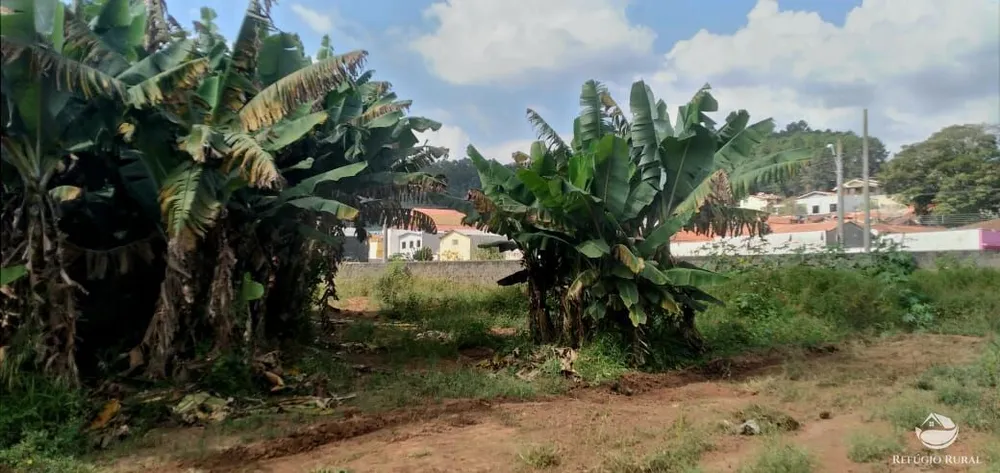 Terreno, 5000 m² - Foto 4