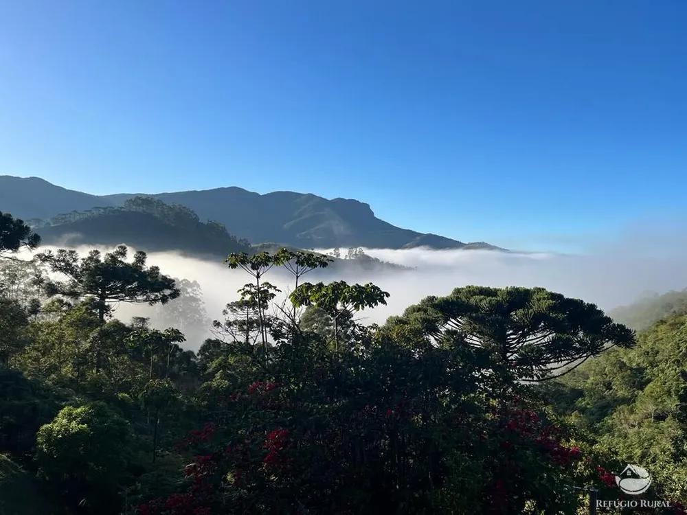 Chácara, 3000 m² - Foto 10