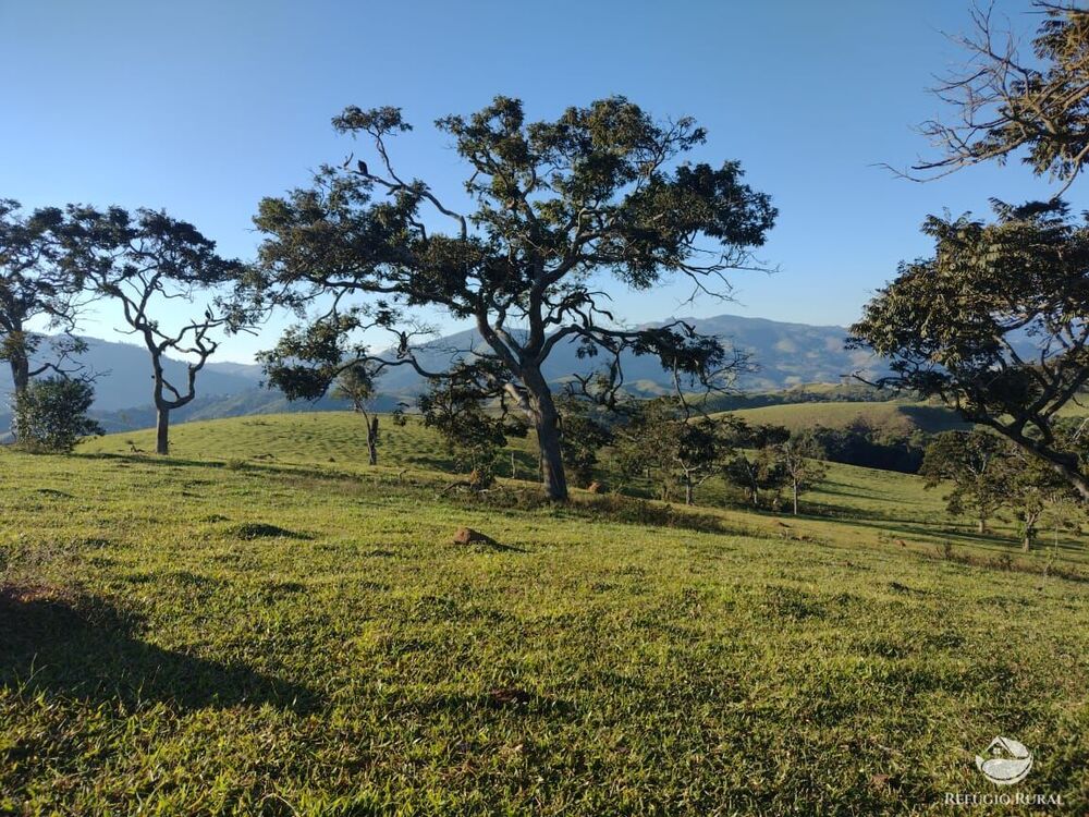 Fazenda à venda com 4 quartos, 3242799m² - Foto 4