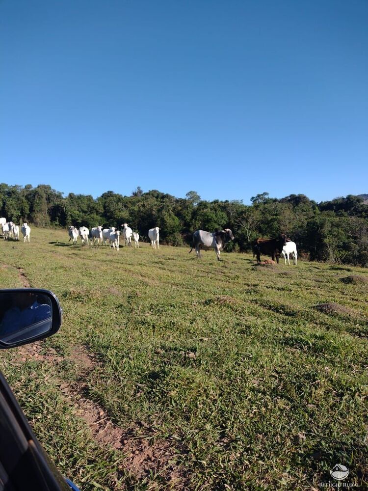 Fazenda à venda com 4 quartos, 3242799m² - Foto 29