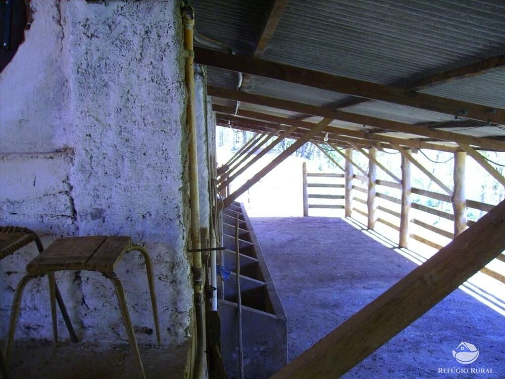 Fazenda à venda com 4 quartos, 3242799m² - Foto 19