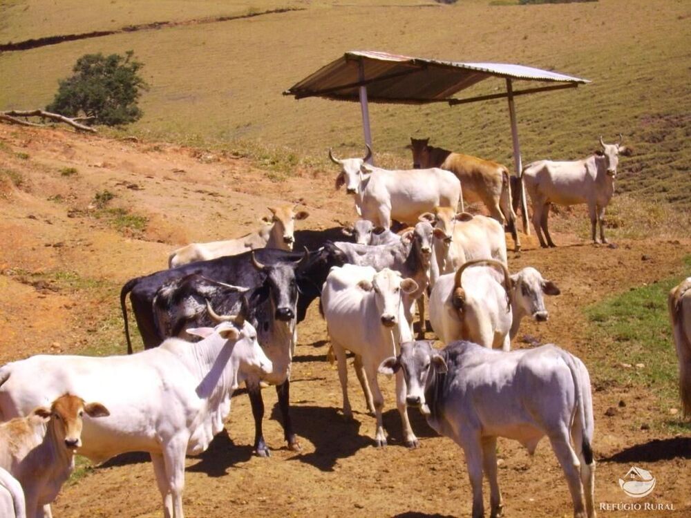 Fazenda à venda com 4 quartos, 3242799m² - Foto 7