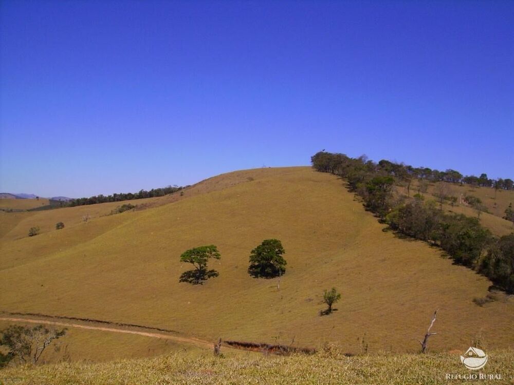 Fazenda à venda com 4 quartos, 3242799m² - Foto 13