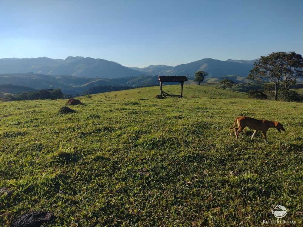 Fazenda à venda com 4 quartos, 3242799m² - Foto 31