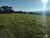 Fazenda-Sítio-Chácara, 324 hectares - Foto 36