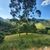 Terreno, 1300 m² - Foto 1