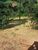 Terreno, 1300 m² - Foto 3