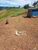 Terreno, 1300 m² - Foto 4