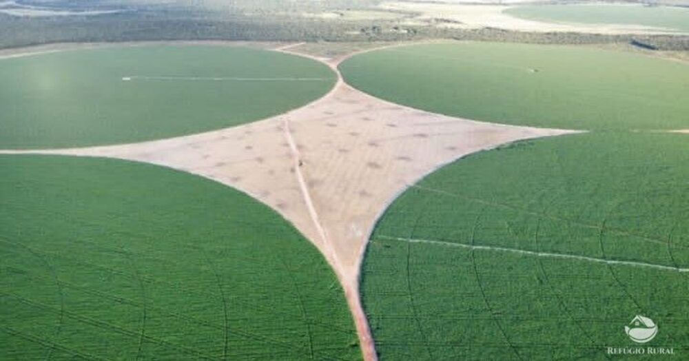 Fazenda, 957 hectares - Foto 3