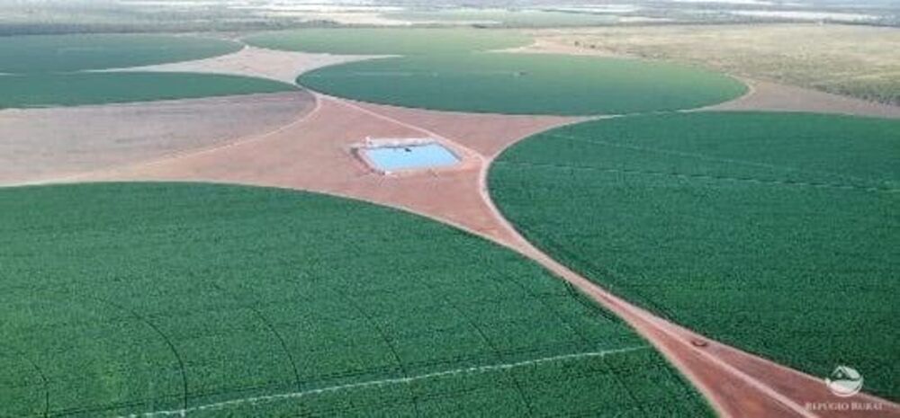 Fazenda, 957 hectares - Foto 2