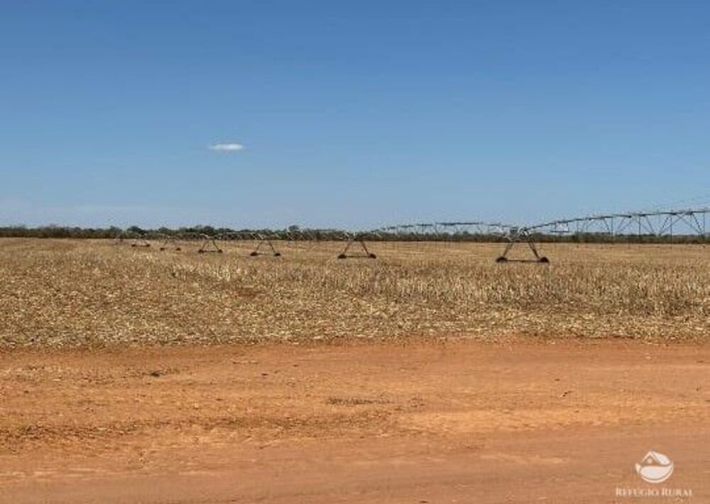 Fazenda, 957 hectares - Foto 4