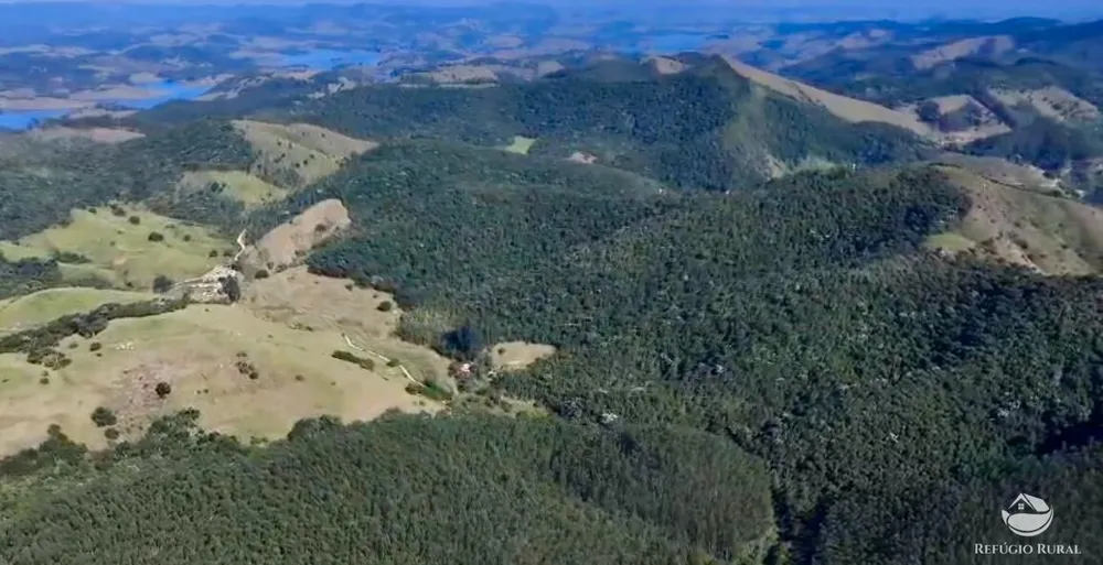 Fazenda, 208 hectares - Foto 4