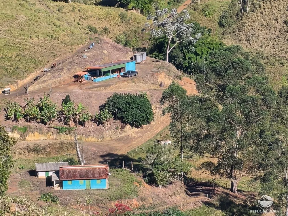 Fazenda, 208 hectares - Foto 1