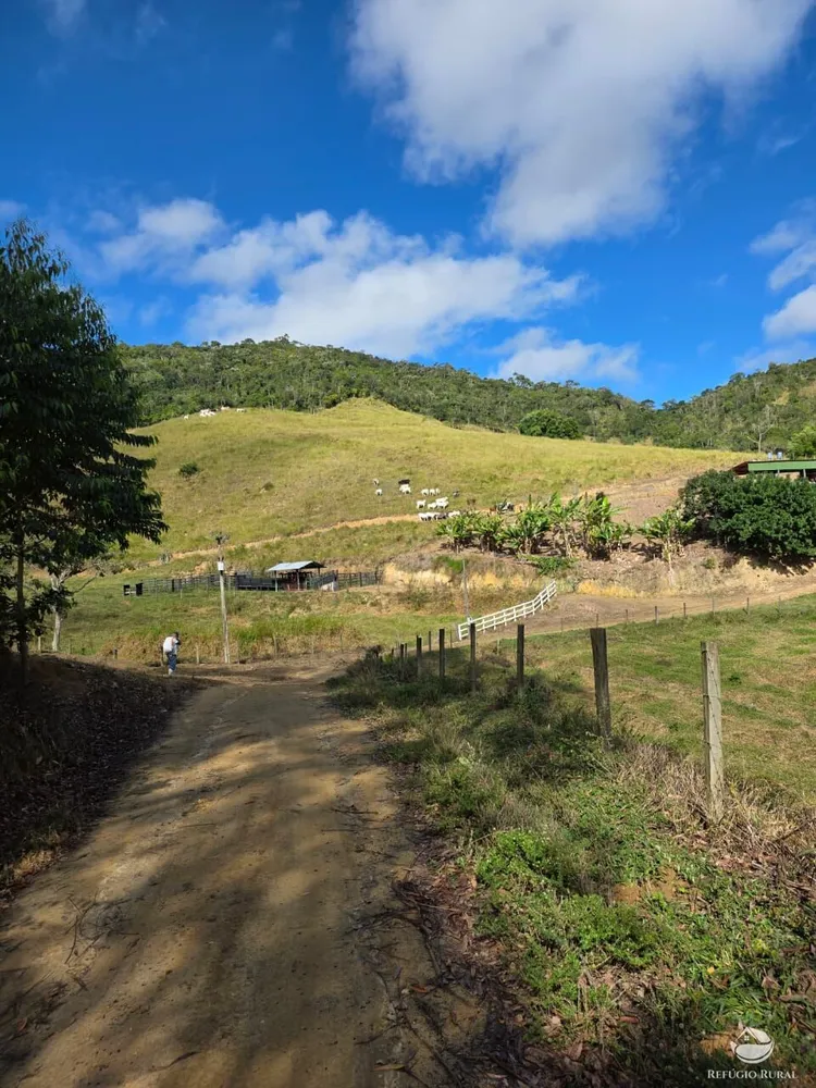 Fazenda, 208 hectares - Foto 2