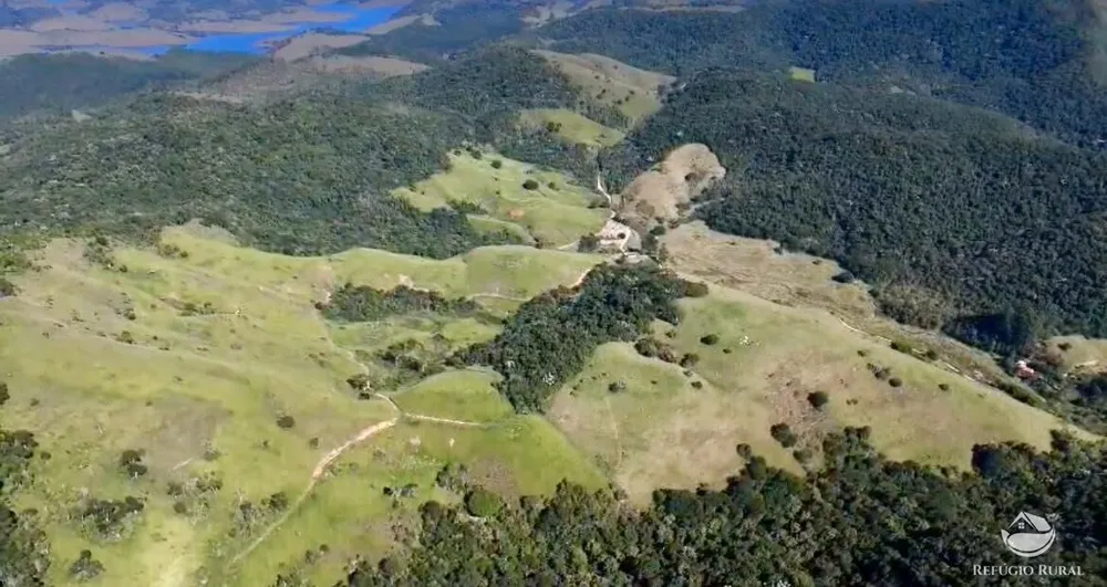 Fazenda, 208 hectares - Foto 8