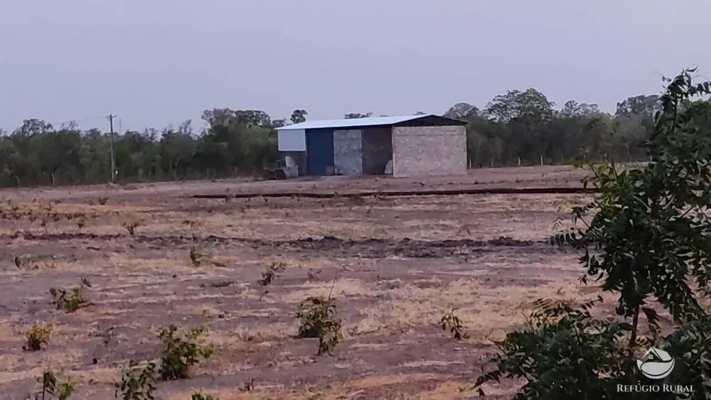 Fazenda, 2150 hectares - Foto 4