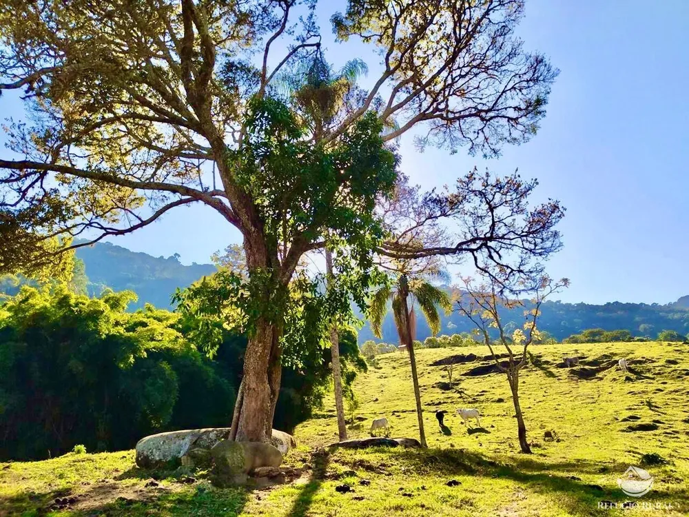 Terreno, 4 hectares - Foto 1