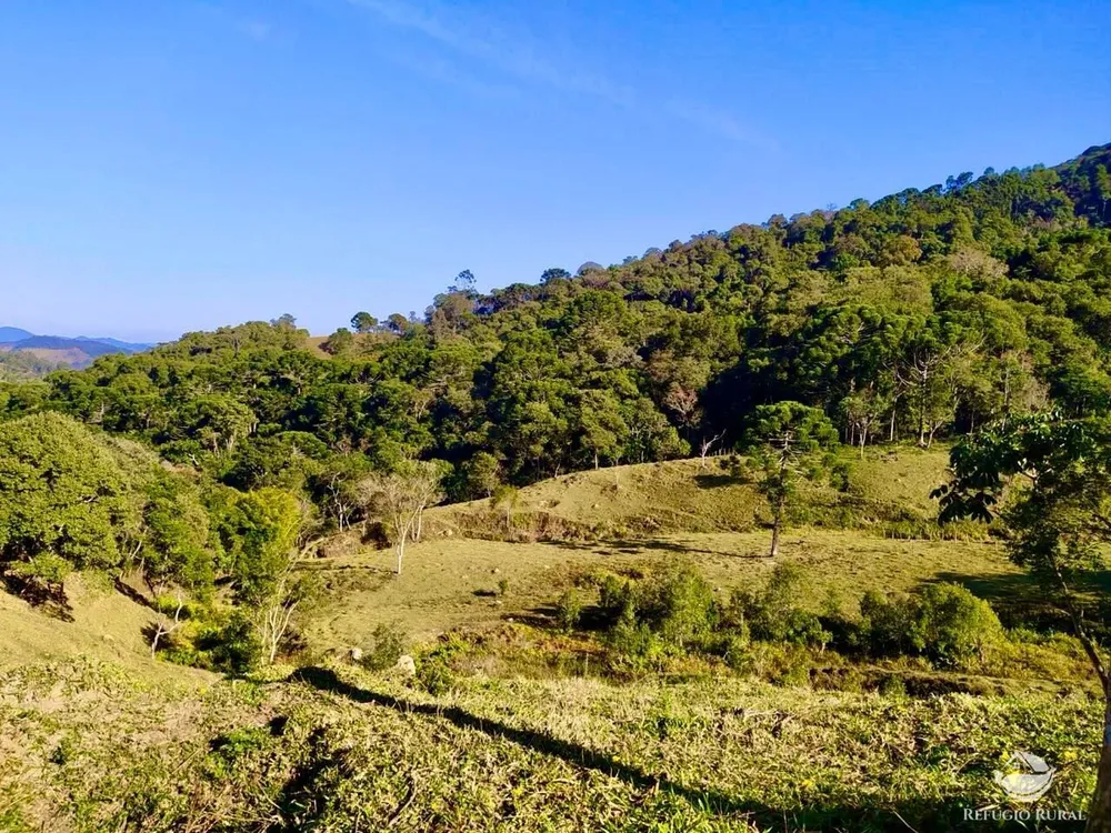 Terreno, 4 hectares - Foto 4