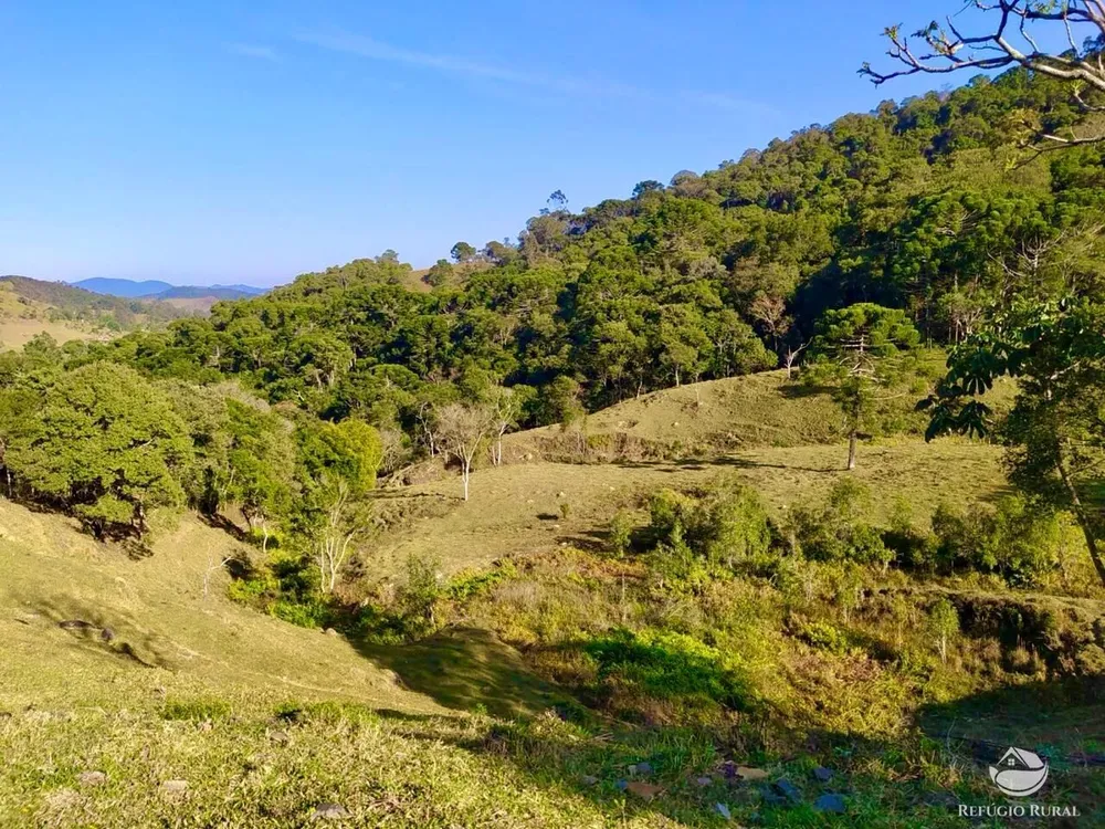 Terreno, 4 hectares - Foto 6
